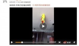 周冬雨和马思纯爆料视频,揭秘幕后趣事